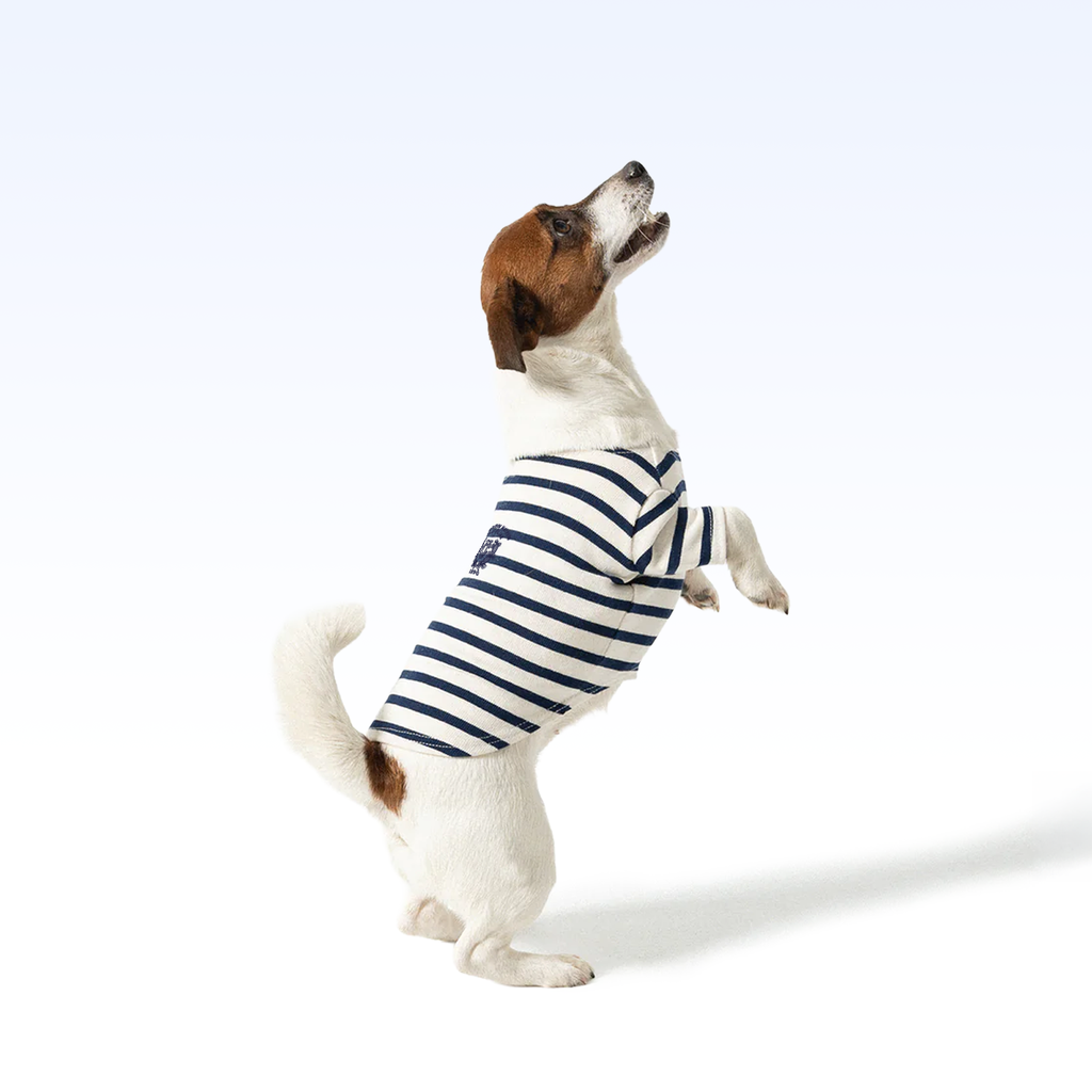UCSF_PARISIAN PUP SHIRT
