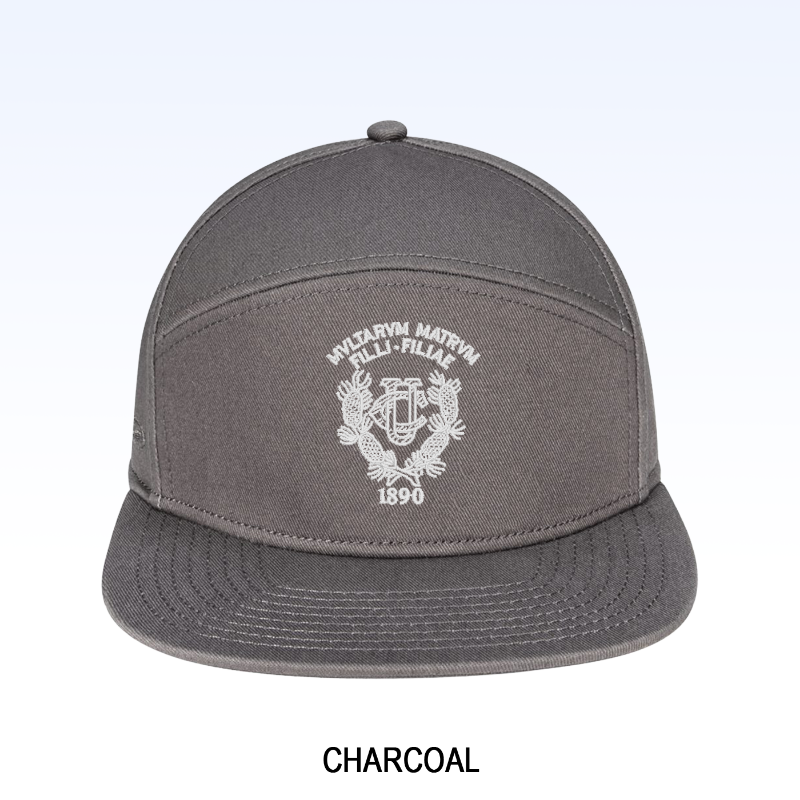 TRADESMAN SIX-PANEL CAP