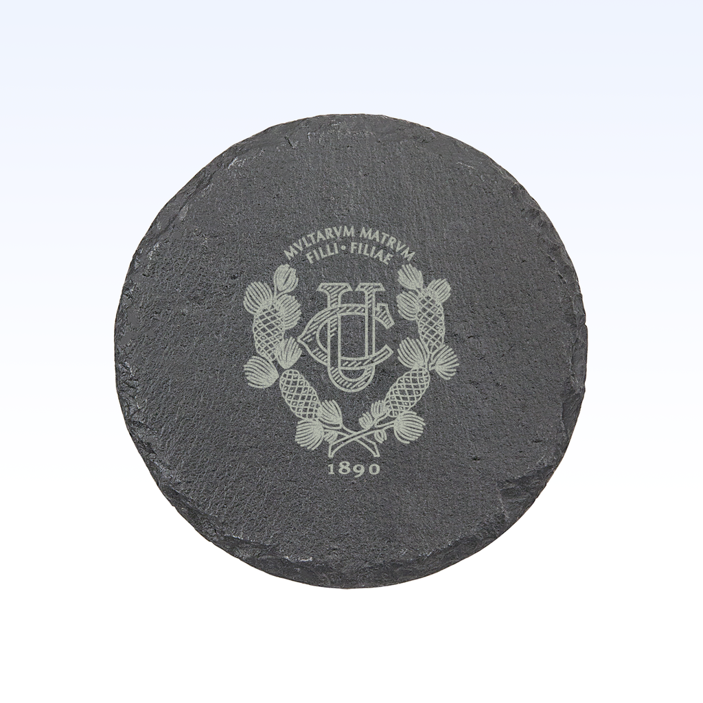 SET OF 4 SLATE COASTERS - 4"