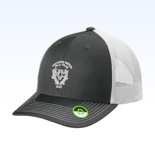 UCSF-SM-C112ECO_SmokeGreyWhite