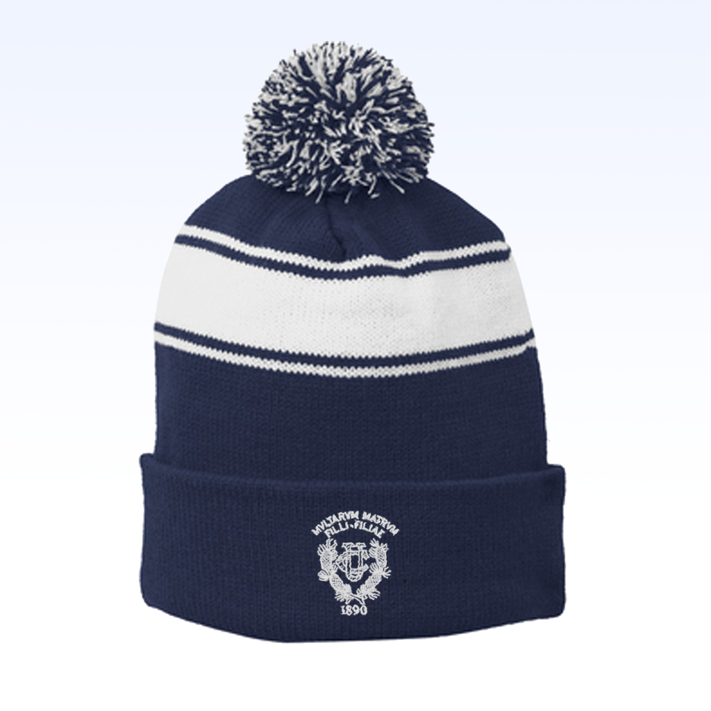 UCSF_SM-STC28_TrueNavy